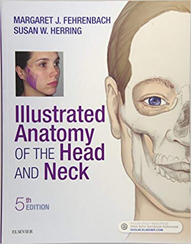 (eBook PDF)Illustrated Anatomy of the Head and Neck, 5th Edition by Margaret J. Fehrenbach RDH MS , Susan W. Herring PhD 