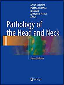 (eBook PDF)Pathology of the Head and Neck 2e by Antonio Cardesa , Pieter J. Slootweg , Nina Gale , Alessandro Franchi 