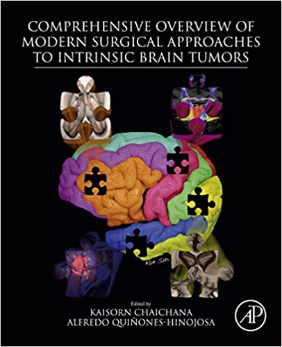 (eBook PDF)Comprehensive Overview of Modern Surgical Approaches to Intrinsic BRAIN TUMORS by Kaisorn Chaichana , Alfredo Quinones-Hinojosa 