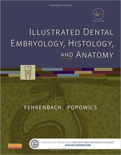 (eBook PDF)Illustrated Dental Embryology, Histology, and Anatomy, 4th Edition by Margaret J. Fehrenbach RDH MS , Tracy Popowics 