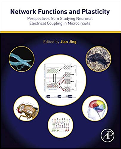 (eBook PDF)Network Functions and Plasticity  by Jian Jing 