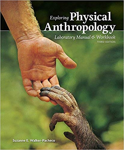 (eBook PDF)Exploring Physical Anthropology: Laboratory Manual & Workbook, 3rd Edition by Suzanne E. Walker-Pacheco 
