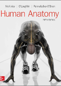 Test Bank for Human Anatomy 5th Edition 