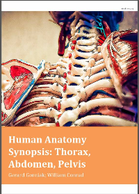 (eBook PDF) HUMAN ANATOMY SYNOPSIS: THORAX, ABDOMEN, PELVIS by GERARD GORNIAK & WILLIAM CONRAD