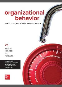 Organizational Behavior: A Practical, Problem-Solving Approach 2nd Edition