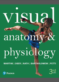 (eBook PDF) Visual Anatomy & Physiology 3rd Edition
