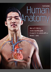 (eBook PDF) Human Anatomy 4th Edition