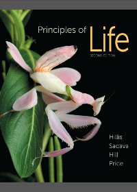 (eBook PDF) Principles of Life, Second Edition by David M. Hillis