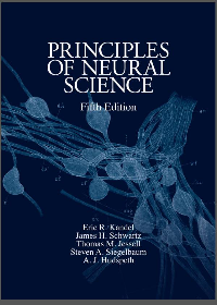 (eBook PDF) Principles of Neural Science, Fifth Edition by Eric R. Kandel