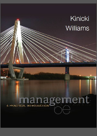 Management: A Practical Introduction 6th Edition by Angelo Kinicki 