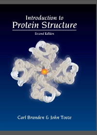 Introduction to Protein Structure 2nd Edition