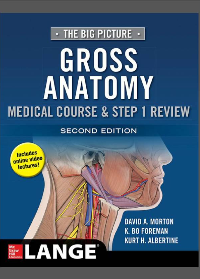 (eBook PDF)The Big Picture: Gross Anatomy, Medical Course & Step 1 Review 2nd Edition by David A. Morton, K. Bo Foreman, Kurt H. Albertine