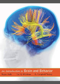 (eBook PDF) Introduction to Brain and Behavior 5th Edition