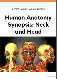 (eBook PDF) HUMAN ANATOMY SYNOPSIS: Neck And Head by GERARD GORNIAK, WILL CONRAD