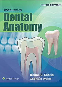 (eBook PDF)Woelfels Dental Anatomy 9th Edition by Rickne Scheid , Gabriela Weiss  