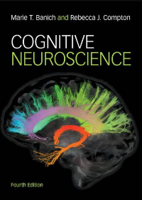 (eBook PDF)Cognitive Neuroscience 4th Edition  by Marie T. Banich , Rebecca J. Compton 