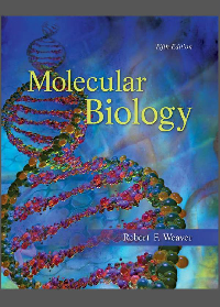 Molecular Biology 5th Edition by Robert Weaver