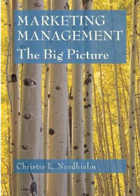 Marketing Management : The Big Picture by Christie L. Nordhielm