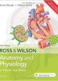 (eBook PDF)Ross & Wilson Anatomy and Physiology in Health and Illness E-Book by Anne Waugh  , Allison Grant  