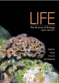 Life The Science of Biology 10th Edition