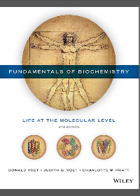 (eBook PDF) Fundamentals of Biochemistry: Life at the Molecular Level 5th Edition