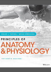 (eBook PDF) Principles of Anatomy and Physiology 15th Edition by Gerard J. Tortora