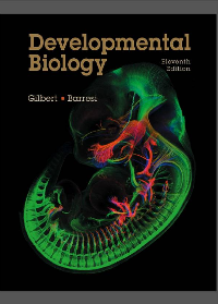 (eBook PDF) Developmental Biology 11th Edition
