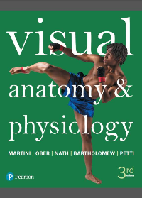 Test Bank for Visual Anatomy & Physiology 3rd Edition