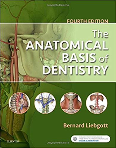 (eBook PDF)The Anatomical Basis of Dentistry 4th Edition by Bernard Liebgott DDS MScD PhD 