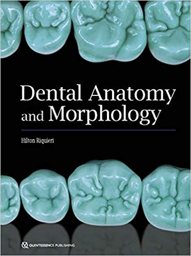 (eBook PDF)Dental Anatomy and Morphology by Hilton Riquieri 