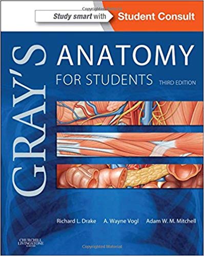 (eBook PDF)Gray s Anatomy for Students 3rd Edition by Richard Drake PhD FAAA , A. Wayne Vogl PhD FAAA , Adam W. M. Mitchell MB BS FRCS FRCR 