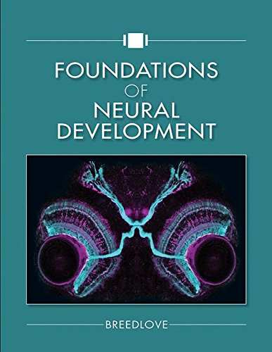 (eBook PDF)Foundations of Neural Development by S. Marc Breedlove