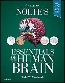 (eBook PDF)Nolte s Essentials of the Human Brain, 2e 2nd Edition by Todd Vanderah PhD 