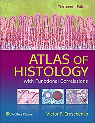 (eBook PDF)Atlas of Histology with Functional Correlations 13th Edition by Victor P. Eroschenko PhD 