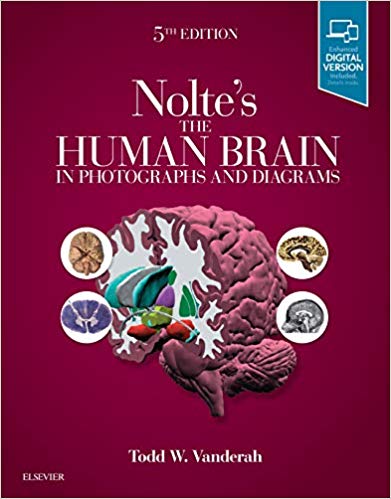 (eBook PDF)Nolte's The Human Brain in Photographs and Diagrams 5th Edition by Todd Vanderah PhD 