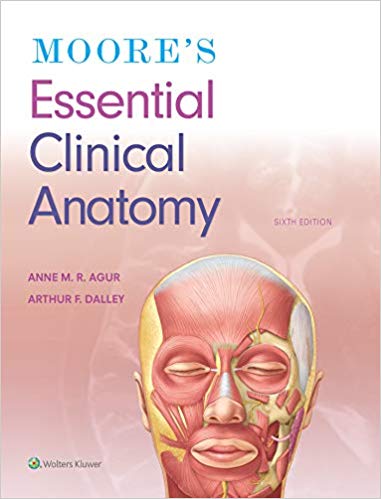 (eBook PDF)Moores Essential Clinical Anatomy Sixth Edition by Anne M. R. Agur , II Arthur F. Dalley 