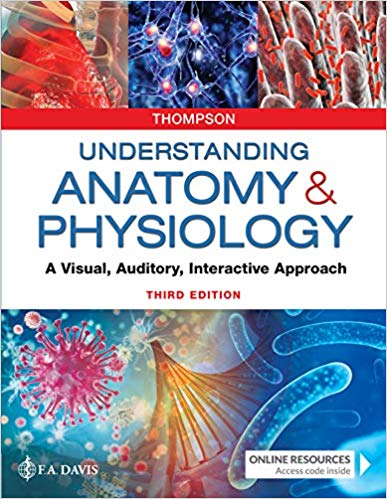 (eBook PDF)Understanding Anatomy and Physiology 3rd Edition by Gale Sloan Thompson RN 