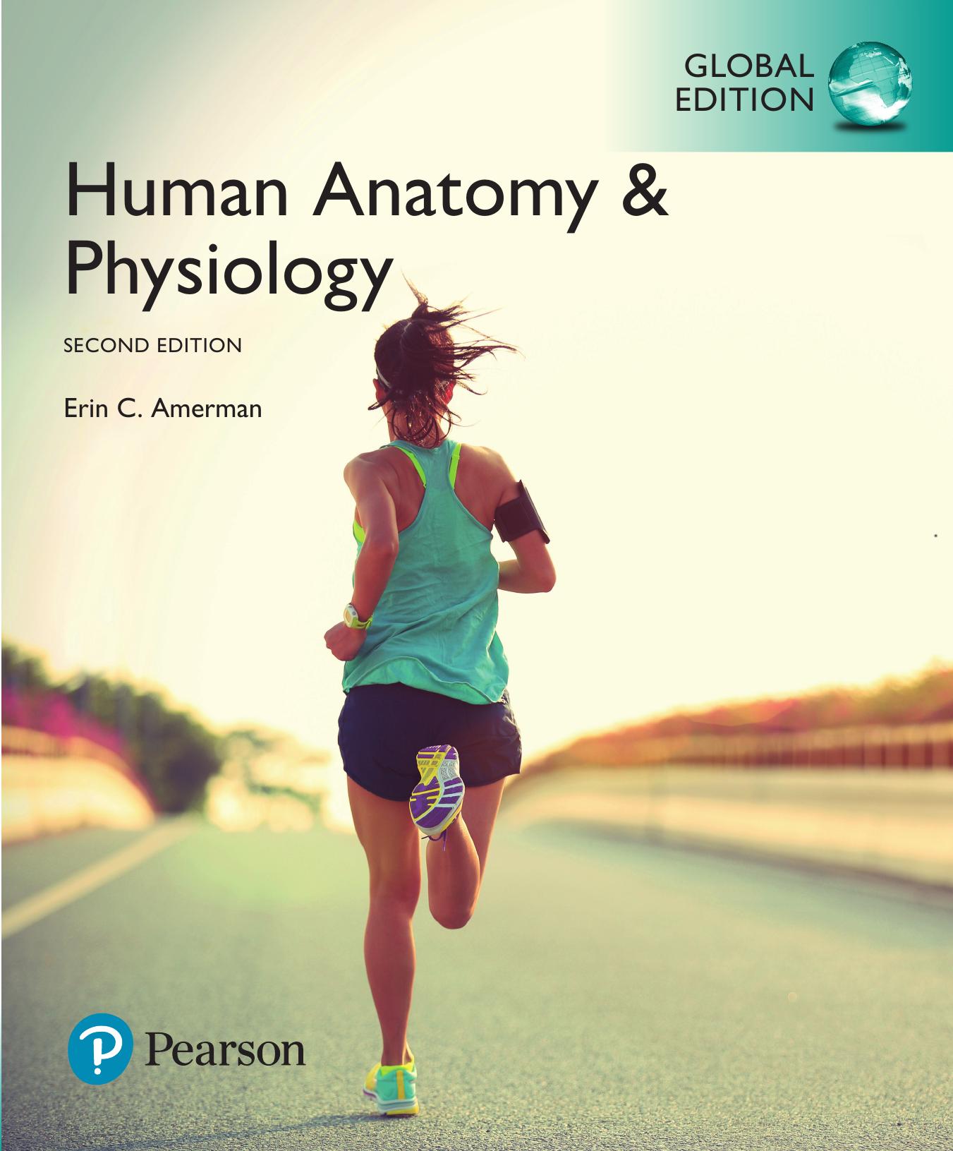 (eBook PDF)Human Anatomy Physiology 2nd Global Edition by Erin Amerman