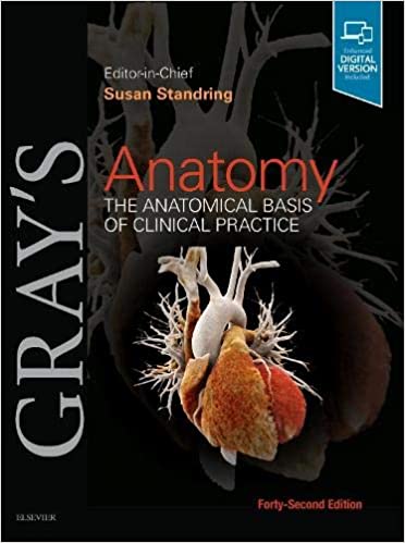 (eBook PDF)Grays Anatomy The Anatomical Basis of Clinical Practice 42nd Edition by Susan Standring PhD DSc 