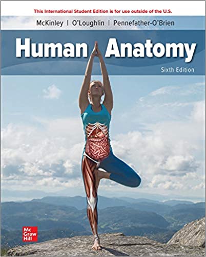 (eBook PDF)ISE Human Anatomy 6th Edition  by Michael McKinley , Valerie O Loughlin , Elizabeth Pennefather-O Brien 