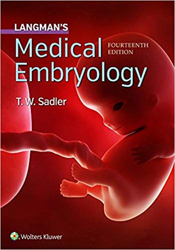 (eBook PDF)Langman's Medical Embryology (Longmans Medical Embryolgy) Fourteenth Edition by T.W. Sadler