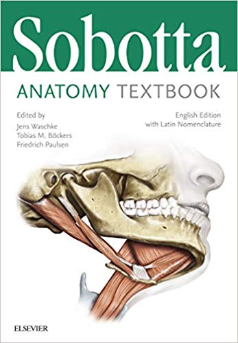 (eBook PDF)Sobotta Anatomy Textbook (English Edition with Latin Nomenclature) by Stephan Winkler (Illustrator), Katja Dalkowski (Illustrator), Jörg Mair (Illustrator), Sonja Klebe (Illustrator)