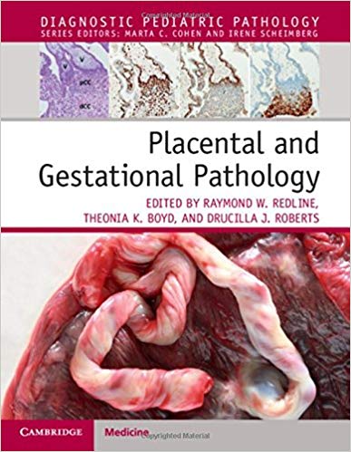 (eBook PDF)Placental and Gestational Pathology by Raymond W. Redline , Theonia K. Boyd , Drucilla J. Roberts 