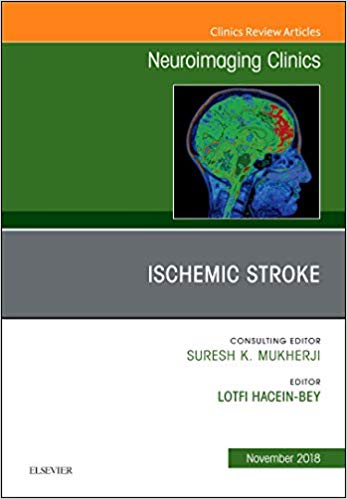 (eBook PDF)Ischemic Stroke Neuroimaging Clinics of North America by Lotfi Hacein-Bey MD 