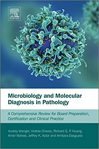 (eBook PDF)Microbiology and Molecular Diagnosis in Pathology by Audrey Wanger , Violeta Chavez , Richard Huang , Amer Wahed , Amitava Dasgupta PhD DABCC , Jeffrey K. Actor PhD 
