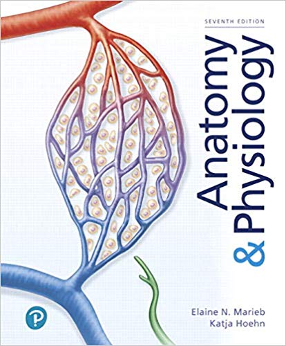 (eBook PDF)Anatomy and Physiology, 7th Edition  by Elaine N. Marieb , Katja Hoehn 