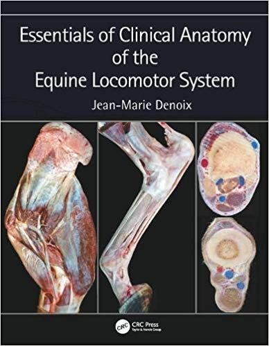 (eBook PDF)Essentials of Clinical Anatomy of the Equine Locomotor System by Jean-Marie Denoix