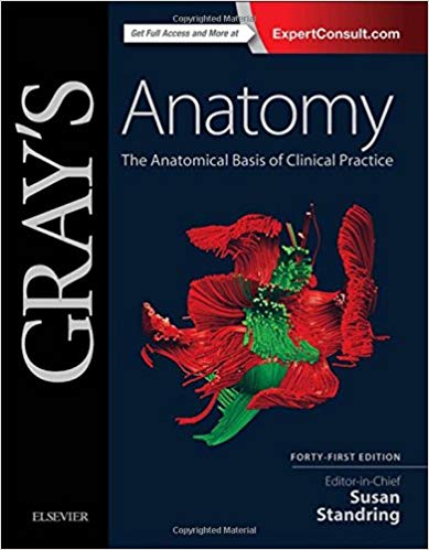 (eBook PDF)Gray‘s Anatomy - The Anatomical Basis of Clinical Practice 41th Edition by Susan Standring PhD DSc 