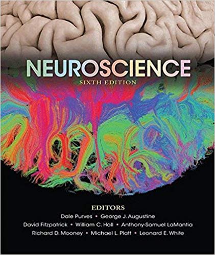 (eBook PDF)Neuroscience 6th Edition by Dale Purves, George J. Augustine, David Fitzpatrick