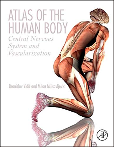 (eBook PDF)Atlas of the Human Body: Central Nervous System and Vascularization by Branislav Vidic , Milan Milisavljevic M.D. S.D. D.Sc. 